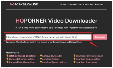 hd porner|Which is the alternative site for Veporno.net